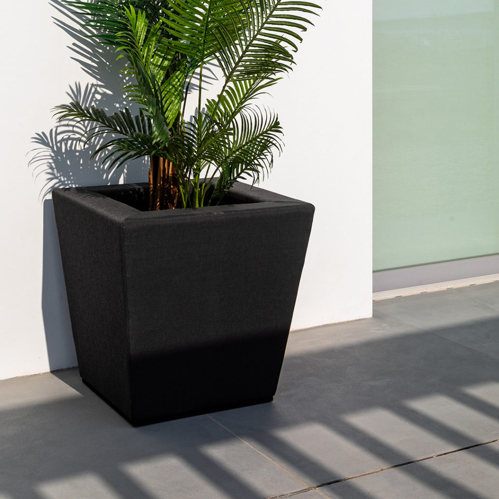 lanzarote-flower-ppt-flores-panama-plantas-exterior-terrazas-balcon copia